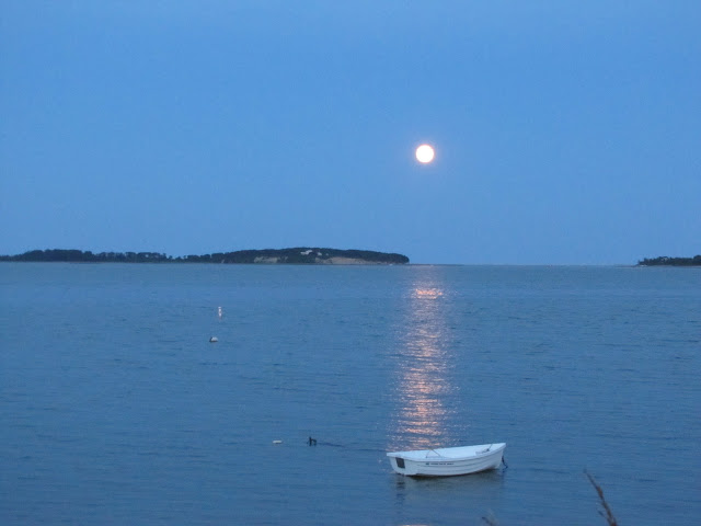pleasant bay moon