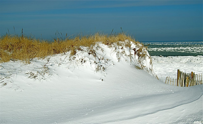 Cape Cod Winter