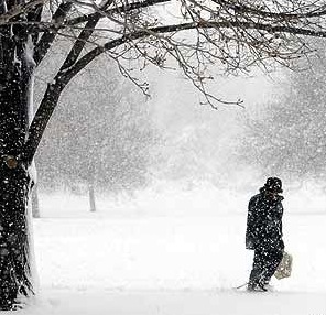 bl_snow