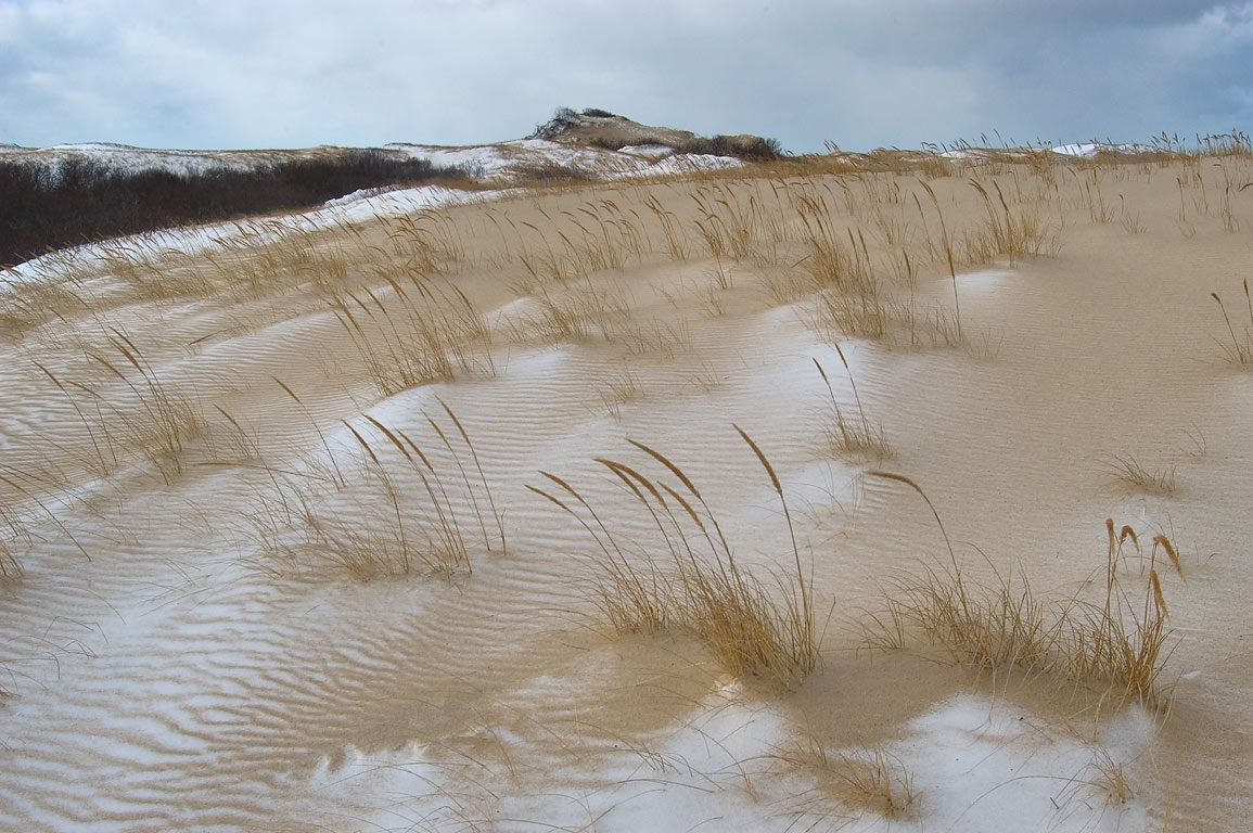 cape snow