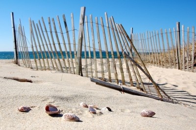 cape cod spring